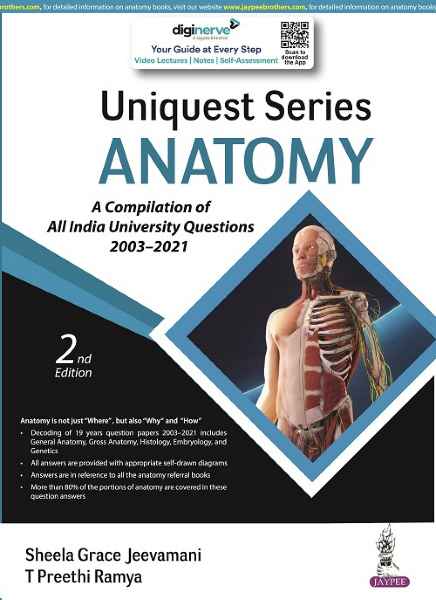 Uniquest Series Anatomy